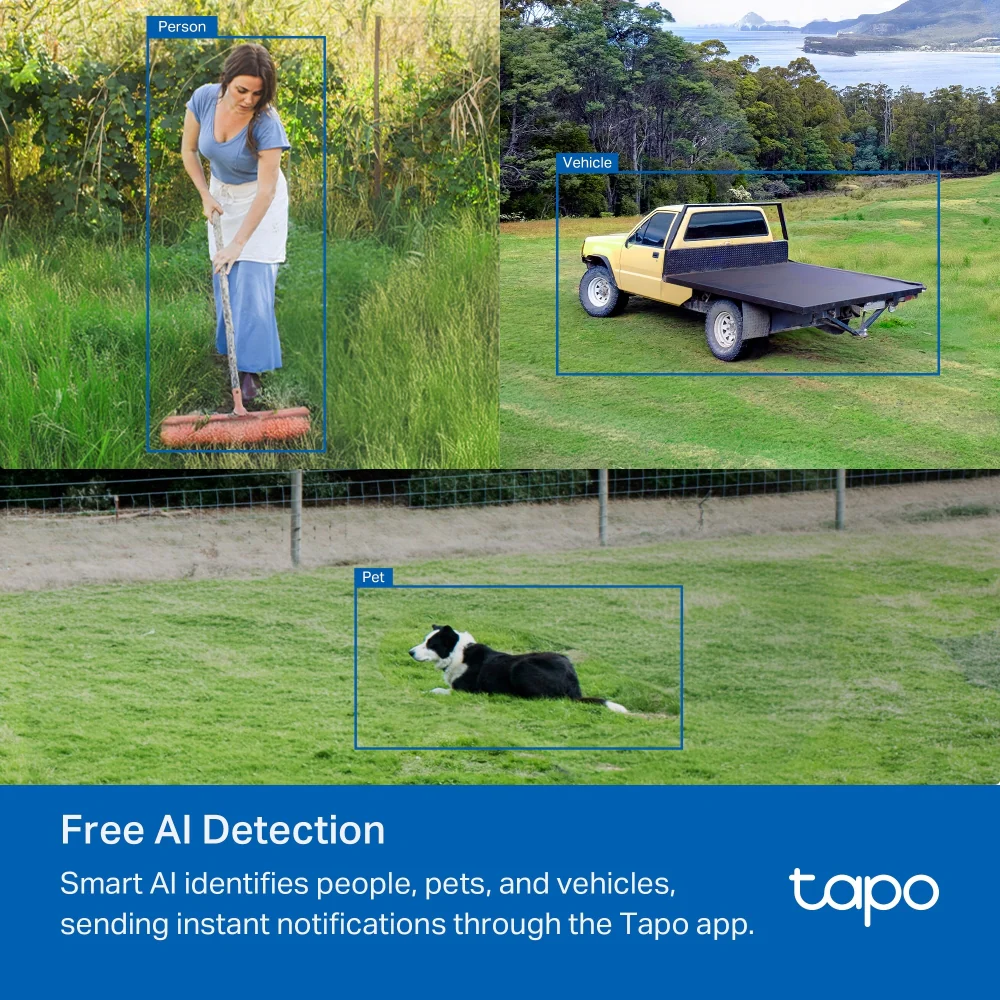 Tapo C501GW 4G LTE/PoE Outdoor Pan/Tilt/Zoom Security Camera - Image 8